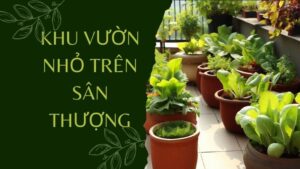 Các Vấn Đề Thường Gặp Khi Thiết Kế Khu Vườn Nhỏ Trên Sân Thượng và Cách Khắc Phục