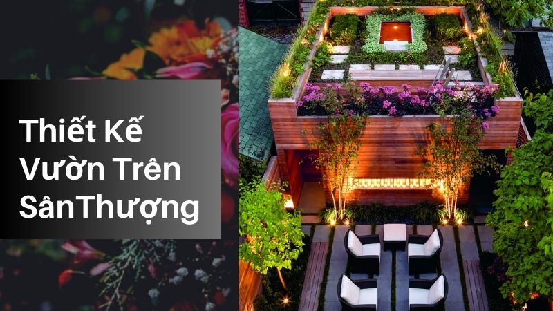 Hướng Dẫn Chi Tiết Thiết Kế Vườn Trên Sân Thượng