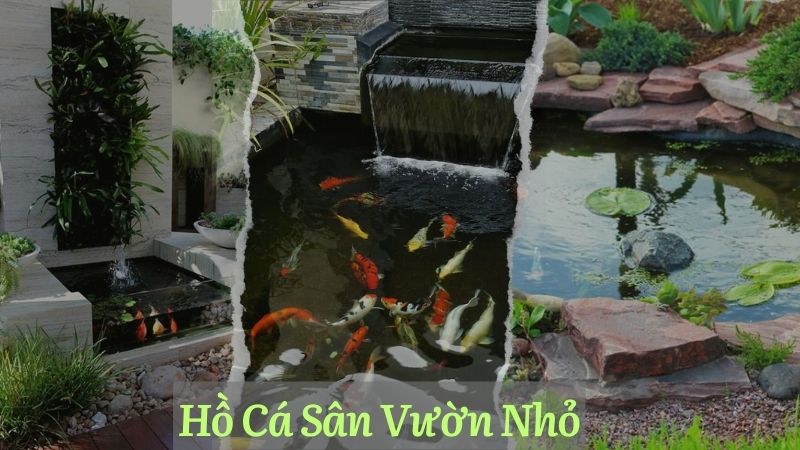 Hướng Dẫn Thiết Kế Hồ Cá Sân Vườn Nhỏ Đơn Giản