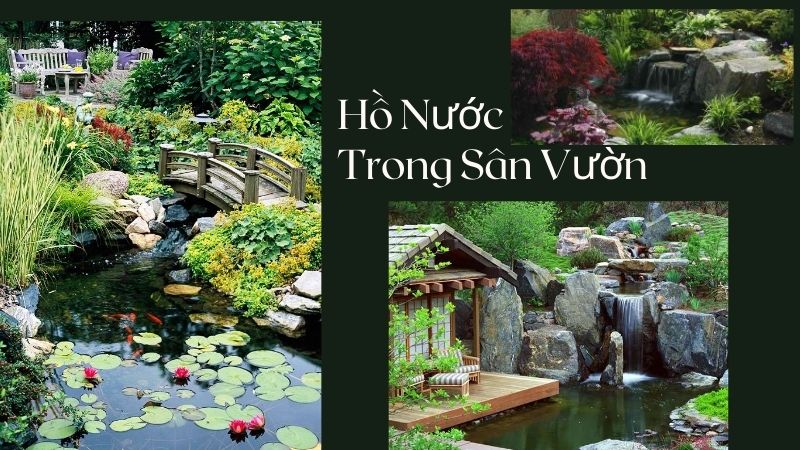 Thiết Kế Tiểu Cảnh Hồ Nước Trong Sân Vườn